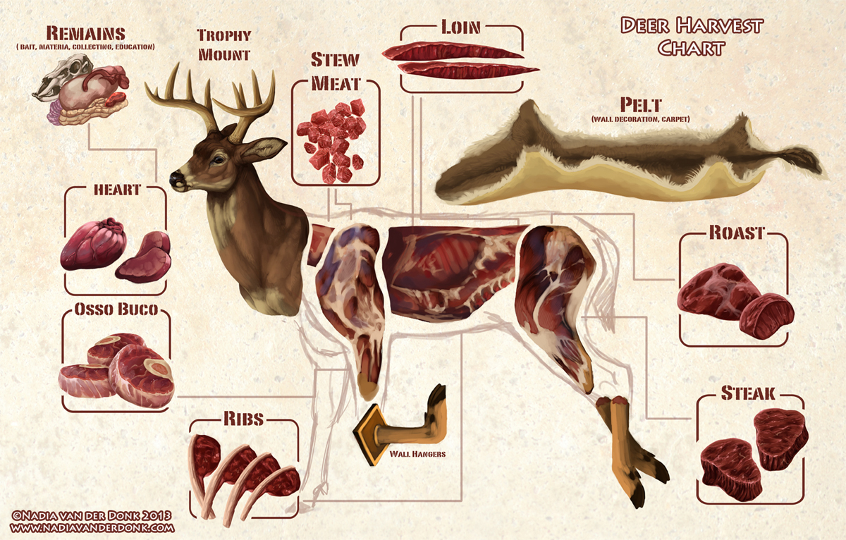 Conversion Chart For Weight Of Deer Bs Proceases Meat