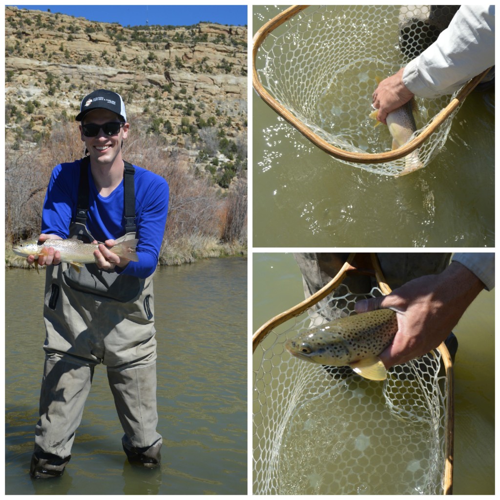 Dan fishing collage